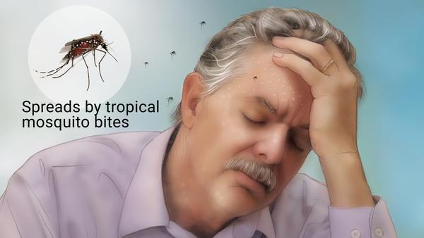 dengue fever prevention